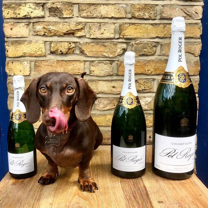 Brut Réserve - Magnum 1.5l от BNKWines.bg