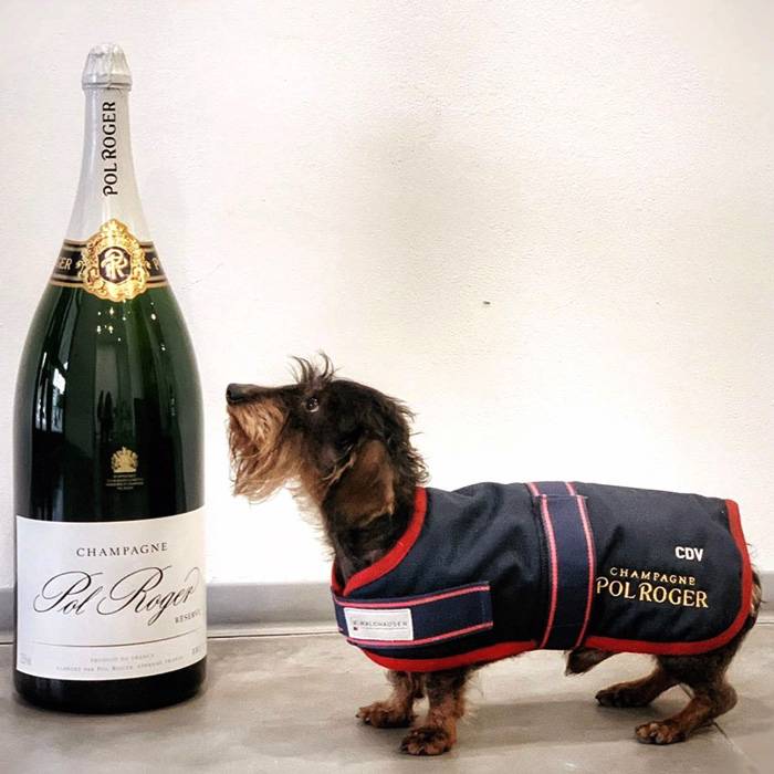 Brut Réserve - Magnum 1.5l от BNKWines.bg